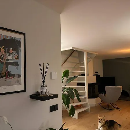 Apartment Experience Mills & Amsterdam Vibes Zaandam
